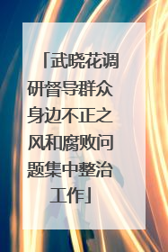 武晓花调研督导群众身边不正之风和腐败问题集中整治工作