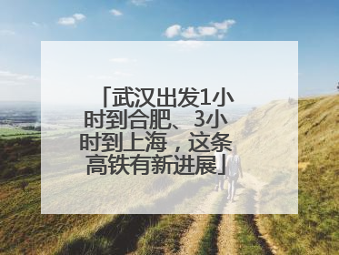 武汉出发1小时到合肥、3小时到上海，这条高铁有新进展