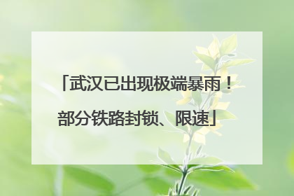武汉已出现极端暴雨！部分铁路封锁、限速