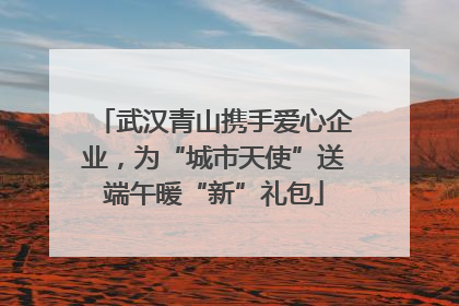 武汉青山携手爱心企业，为“城市天使”送端午暖“新”礼包