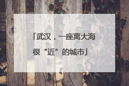 武汉，一座离大海很“近”的城市