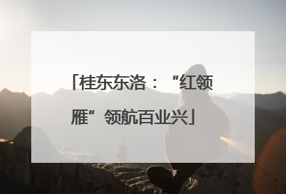 桂东东洛：“红领雁”领航百业兴