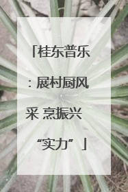 桂东普乐：展村厨风采 烹振兴“实力”