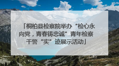 桐柏县检察院举办“检心永向党，青春铸忠诚”青年检察干警“实”迹展示活动
