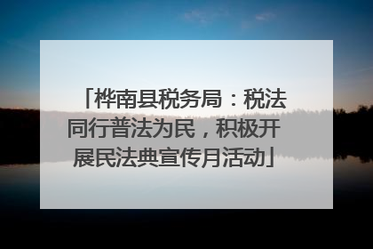 桦南县税务局：税法同行普法为民，积极开展民法典宣传月活动