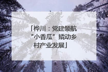 桦川：党建领航“小香瓜”撬动乡村产业发展