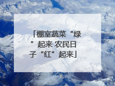 棚室蔬菜“绿”起来 农民日子“红”起来