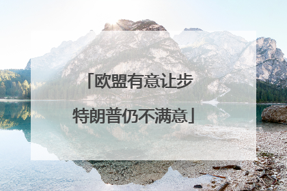 欧盟有意让步 特朗普仍不满意