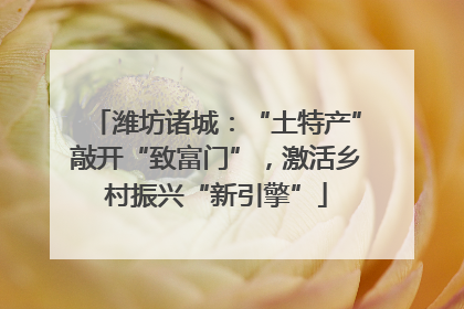 潍坊诸城：“土特产”敲开“致富门”，激活乡村振兴“新引擎”