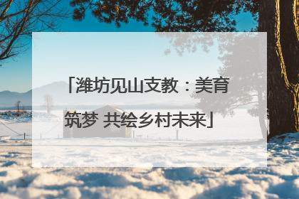 潍坊见山支教：美育筑梦 共绘乡村未来