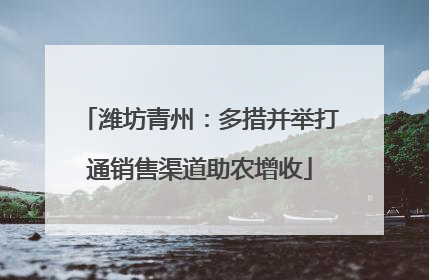 潍坊青州：多措并举打通销售渠道助农增收