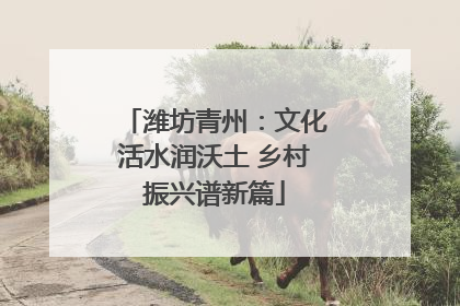 潍坊青州：文化活水润沃土 乡村振兴谱新篇