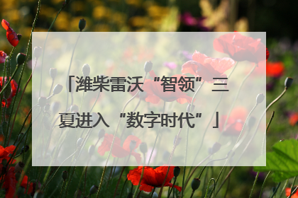 潍柴雷沃“智领”三夏进入“数字时代”