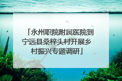 永州职院附属医院到宁远县桑梓头村开展乡村振兴专题调研