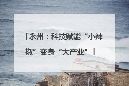 永州：科技赋能“小辣椒”变身“大产业”