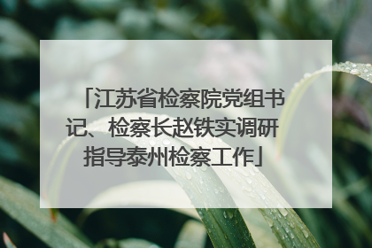 江苏省检察院党组书记、检察长赵铁实调研指导泰州检察工作