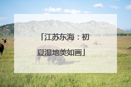 江苏东海：初夏湿地美如画
