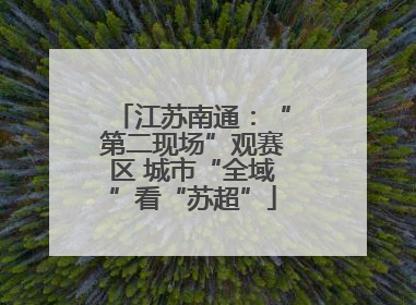 江苏南通：“第二现场”观赛区 城市“全域”看“苏超”