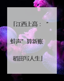 江西上高：“蛙声”算新账 稻田写人生