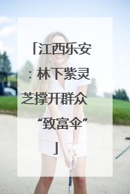 江西乐安：林下紫灵芝撑开群众“致富伞”