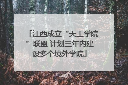 江西成立“天工学院”联盟 计划三年内建设多个境外学院