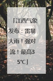 江西气象发布：雷暴大雨！强对流！最高35℃