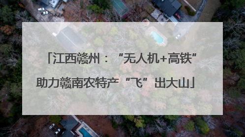 江西赣州：“无人机+高铁”助力赣南农特产“飞”出大山