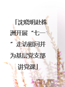沈晓明赴株洲开展“七一”走访慰问并为基层党支部讲党课