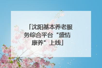 沈阳基本养老服务综合平台“盛情康养”上线