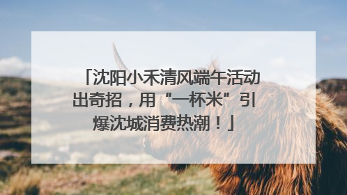 沈阳小禾清风端午活动出奇招，用“一杯米”引爆沈城消费热潮！