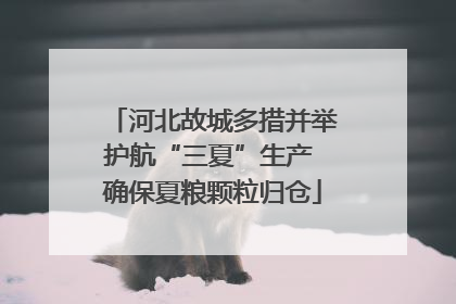 河北故城多措并举护航“三夏”生产 确保夏粮颗粒归仓