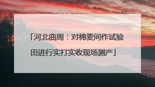 河北曲周：对棉麦间作试验田进行实打实收现场测产