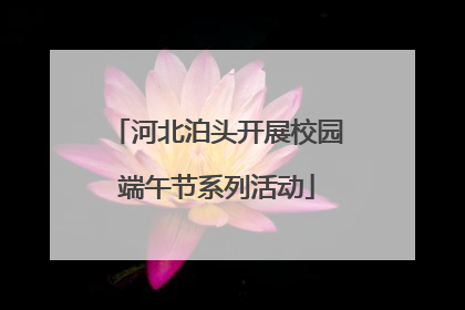 河北泊头开展校园端午节系列活动