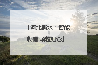 河北衡水：智能收储 颗粒归仓