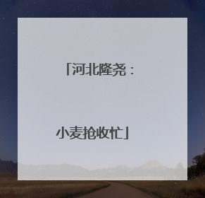 河北隆尧：小麦抢收忙