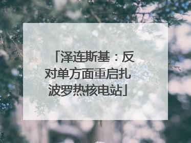 泽连斯基：反对单方面重启扎波罗热核电站