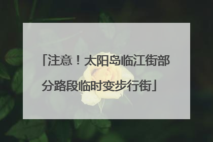 注意！太阳岛临江街部分路段临时变步行街