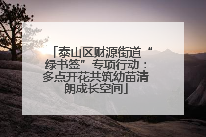 泰山区财源街道“绿书签”专项行动：多点开花共筑幼苗清朗成长空间