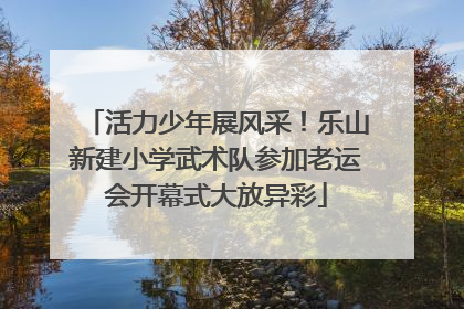 活力少年展风采！乐山新建小学武术队参加老运会开幕式大放异彩