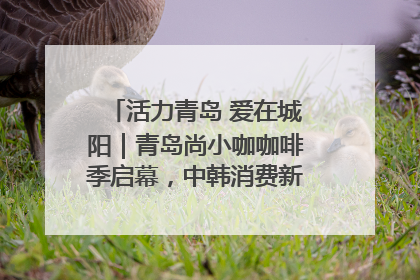 活力青岛 爱在城阳｜青岛尚小咖咖啡季启幕，中韩消费新场景点燃夏日热情