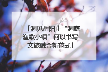 洞见岳阳丨“洞庭渔歌小镇”何以书写文旅融合新范式