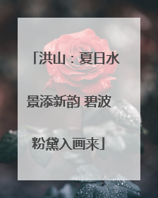 洪山：夏日水景添新韵 碧波粉黛入画来