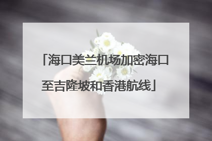 海口美兰机场加密海口至吉隆坡和香港航线