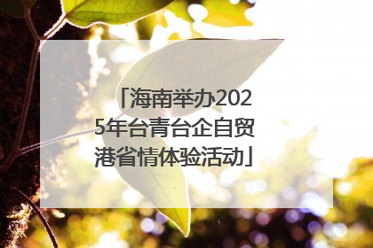 海南举办2025年台青台企自贸港省情体验活动