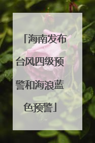 海南发布台风四级预警和海浪蓝色预警