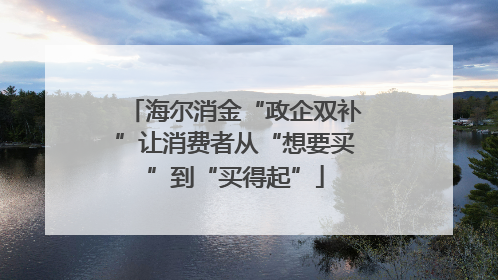 海尔消金“政企双补”让消费者从“想要买”到“买得起”