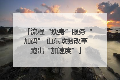 流程“瘦身”服务“加码” 山东政务改革跑出“加速度”
