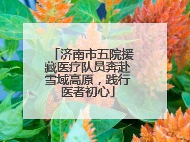 济南市五院援藏医疗队员奔赴雪域高原，践行医者初心
