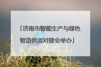 济南市智能生产与绿色智造供需对接会举办