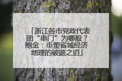 浙江各市党政代表团“串门”为哪般？鲍金：重塑省域经济地理的破题之道